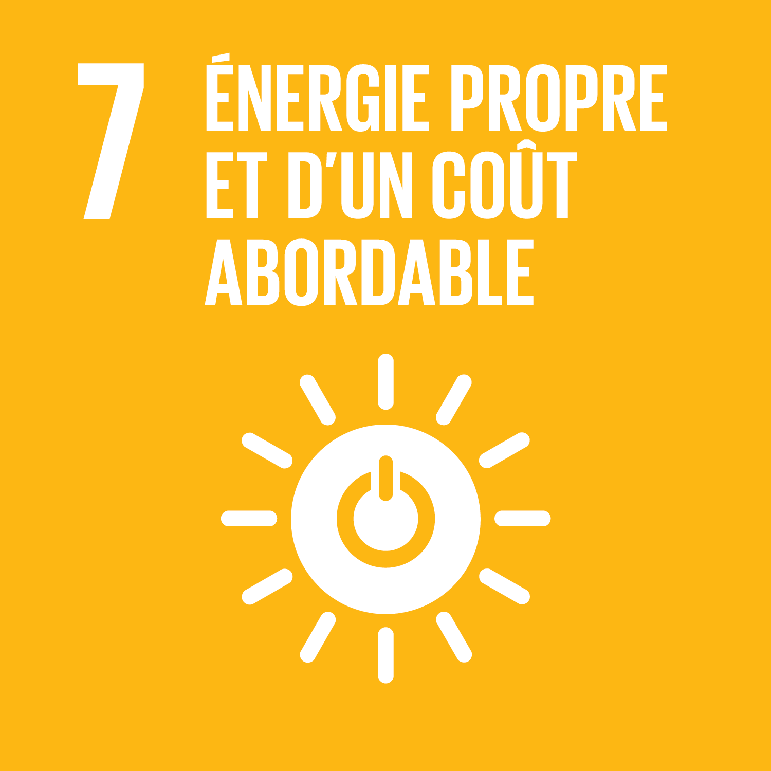 F_SDG-goals_icons-individual-rgb-07.png