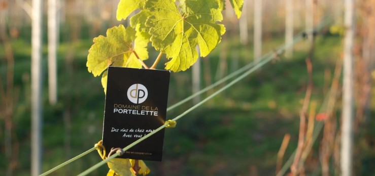 domaine_portelette.jpg