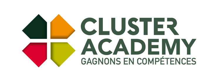 logoclusteracademyv2_web_small.jpg