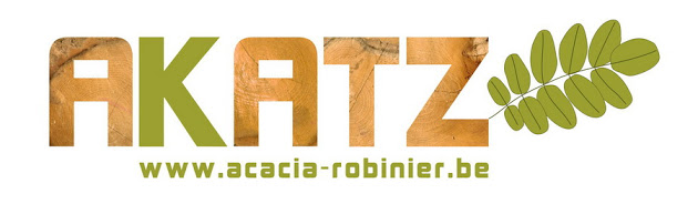 akatzlogo85517.jpg