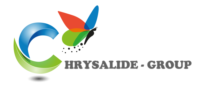 logochrysalidetexte.png