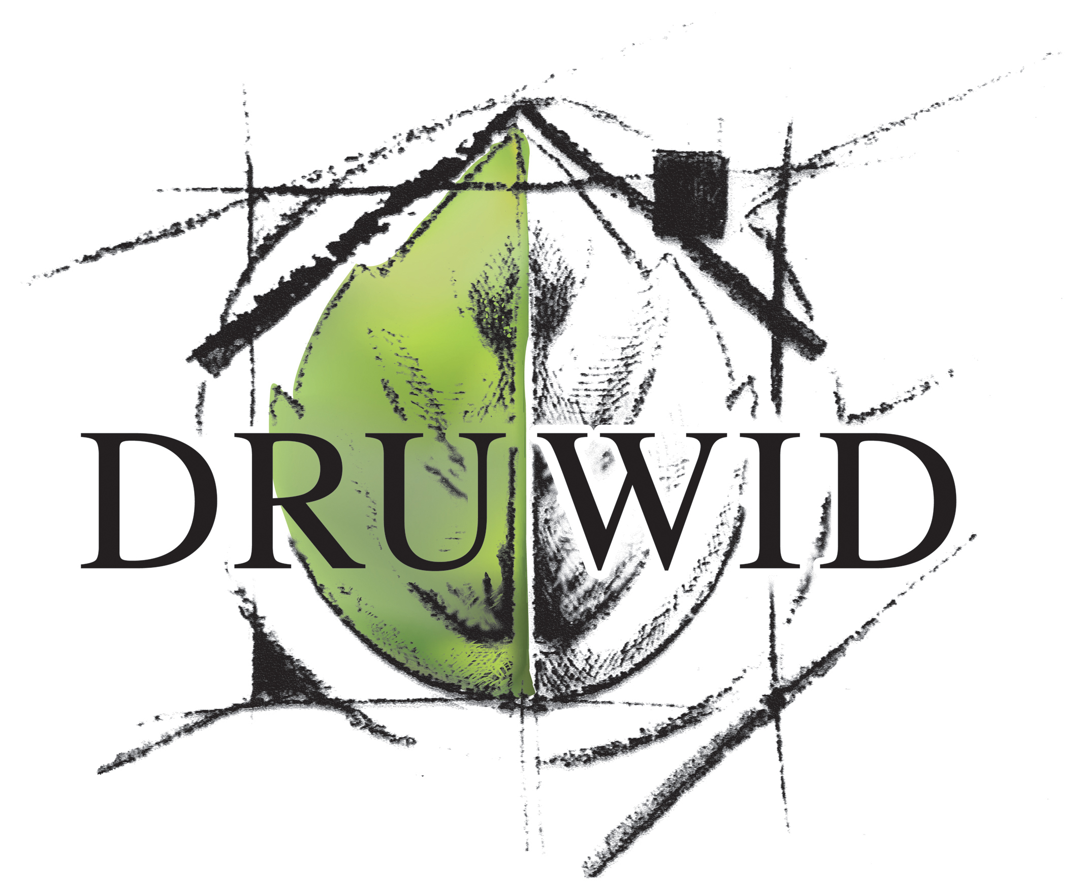druwidlogo300dpirgb18cm70602.jpg