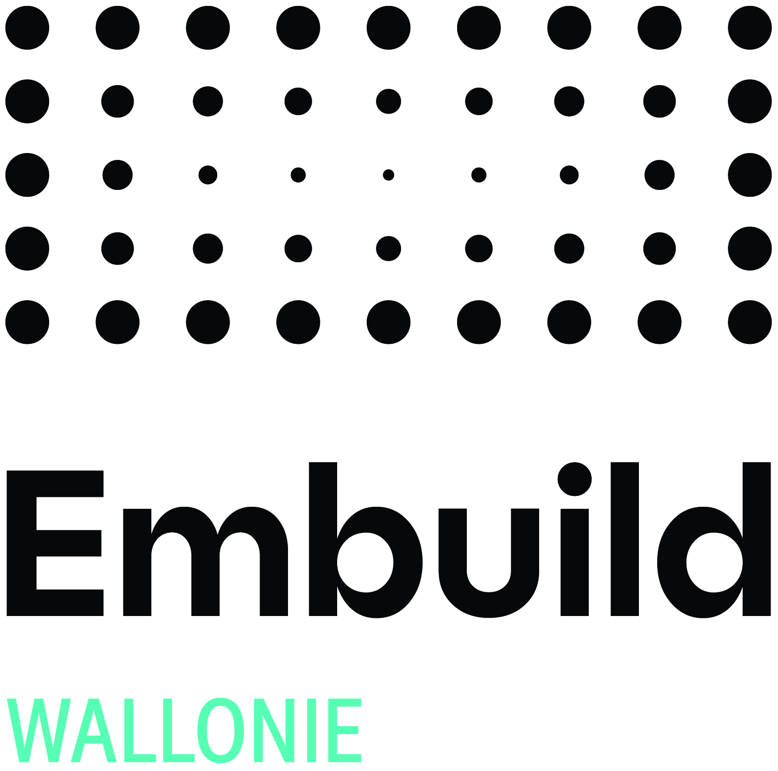 embuild_logo_wallonie_black_cmyk_002.jpg
