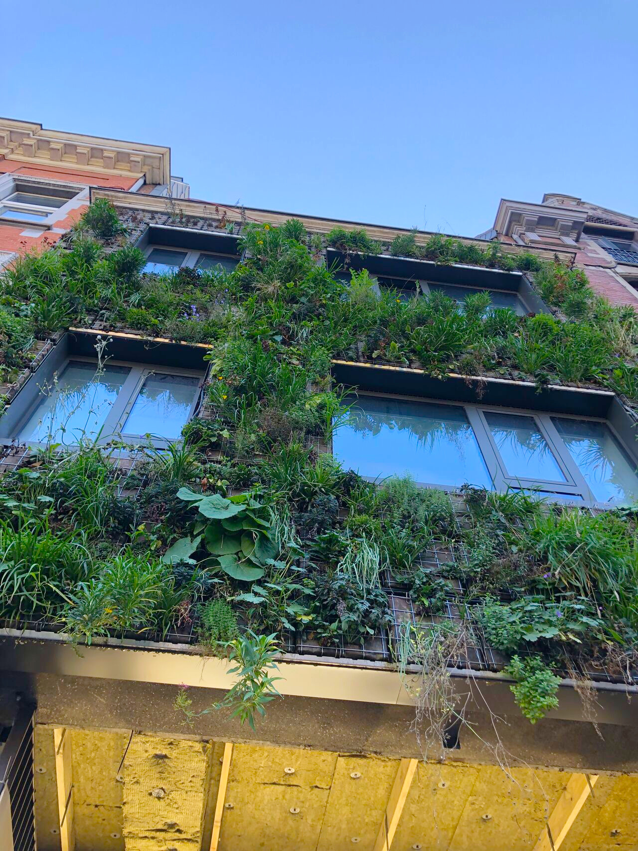 Vivus Nature façade végétalisée