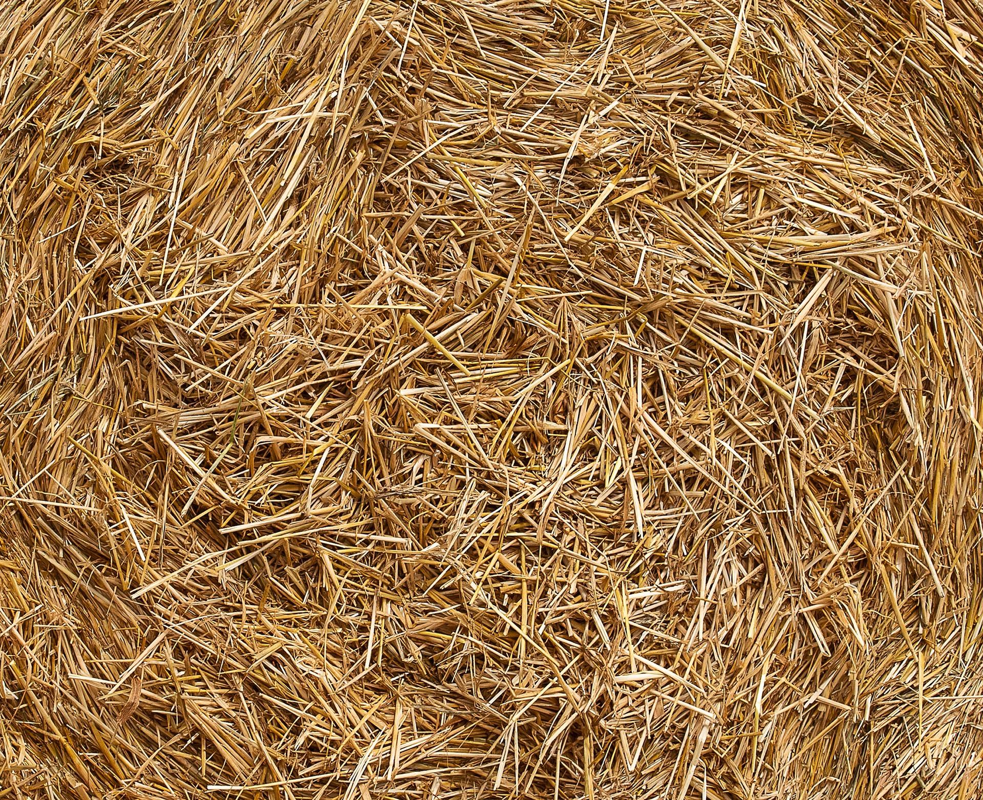 Bonnes nouvelles pour la paille, les blocs chaux-chanvre et les autres éco-matériaux 100 % naturels !