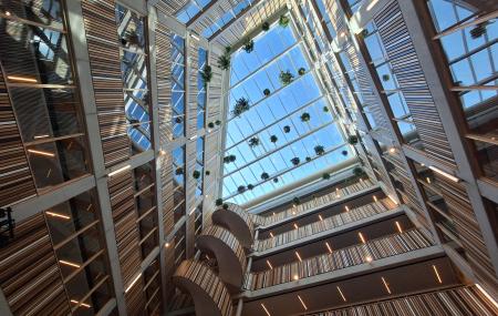 Wood Hub