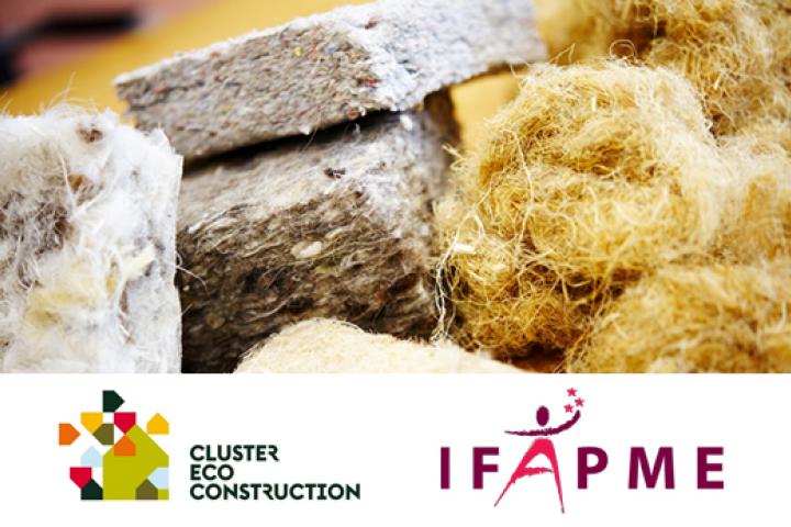 projet_site_formation_IFAPME.jpg