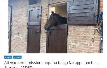 Capture3.jpeg