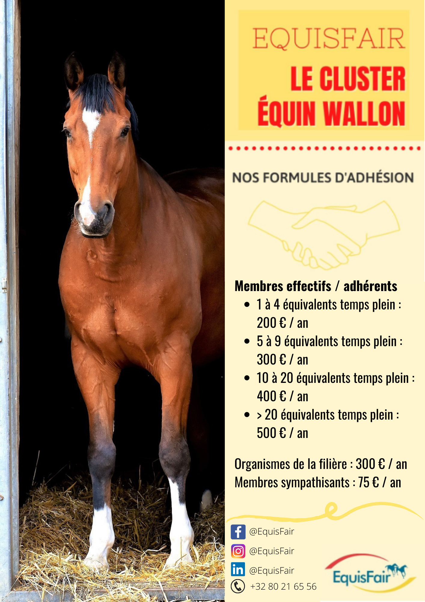 EquisFair_Formules_adhesion.png