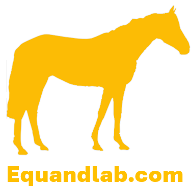 Logo equandlab HD.2.png