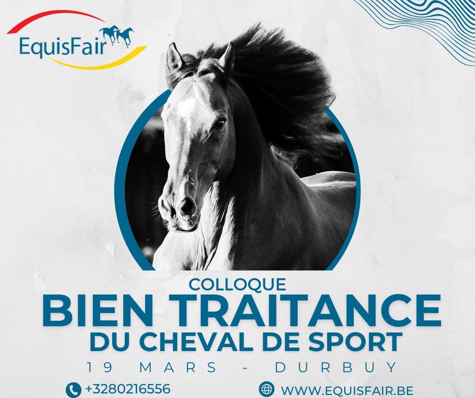 affiche.png