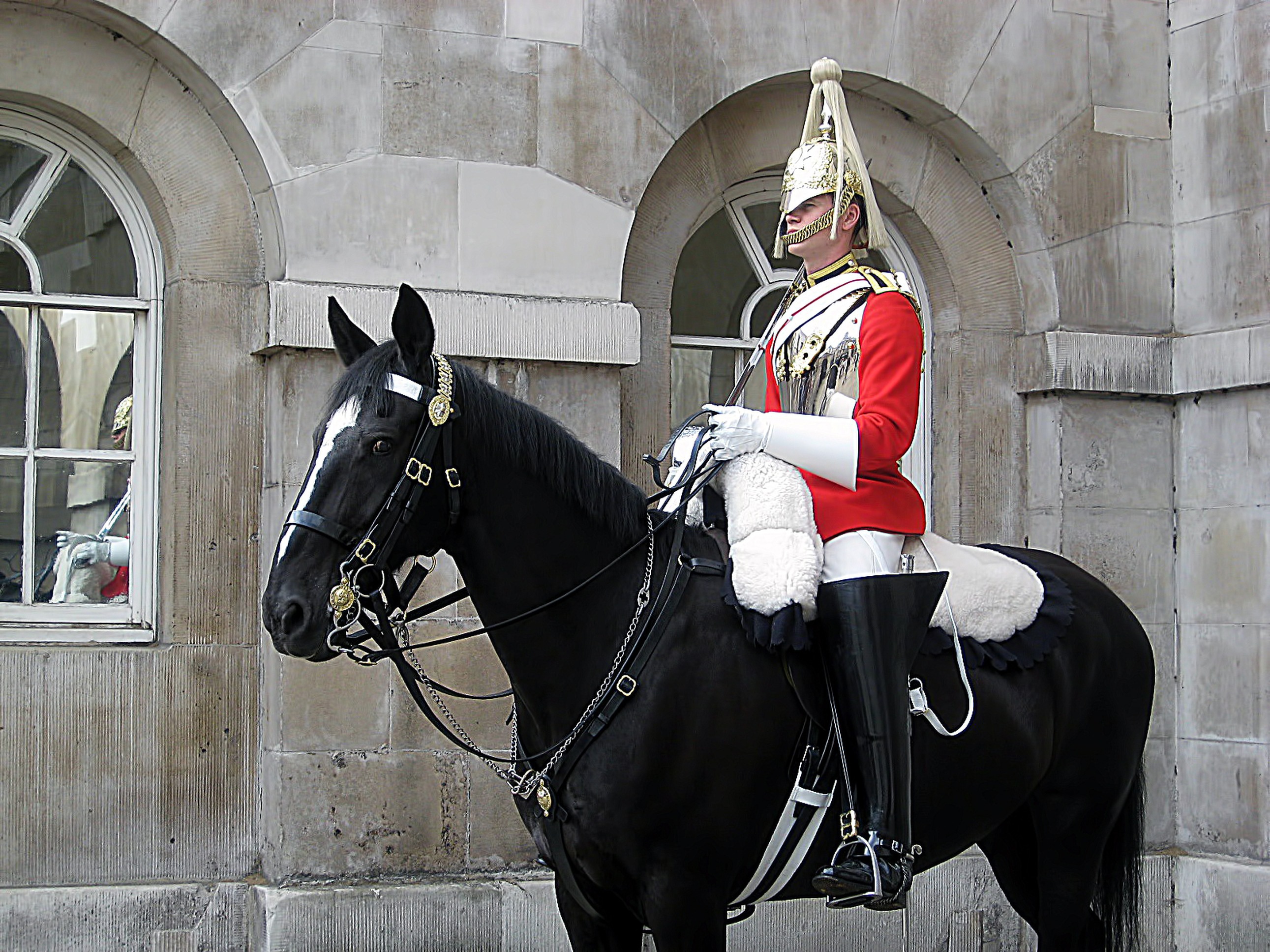 horse254677.jpg