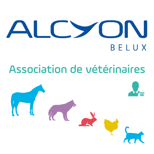 logo_alcyon_association.png