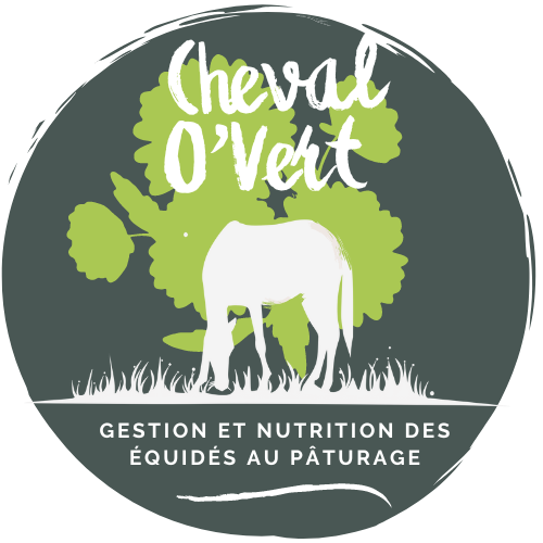 nouveau_logo.png