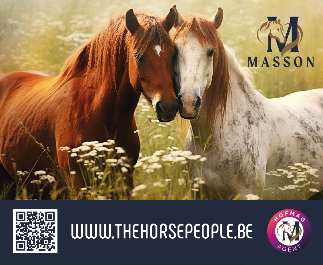 nouveau_logo_masson.jpg