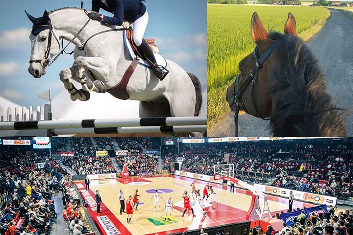 secteur sport.jpg