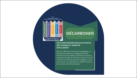 Ill. Nouveaux DIS • Le Gouvernement wallon a adopté cet été sa réforme de Clustering