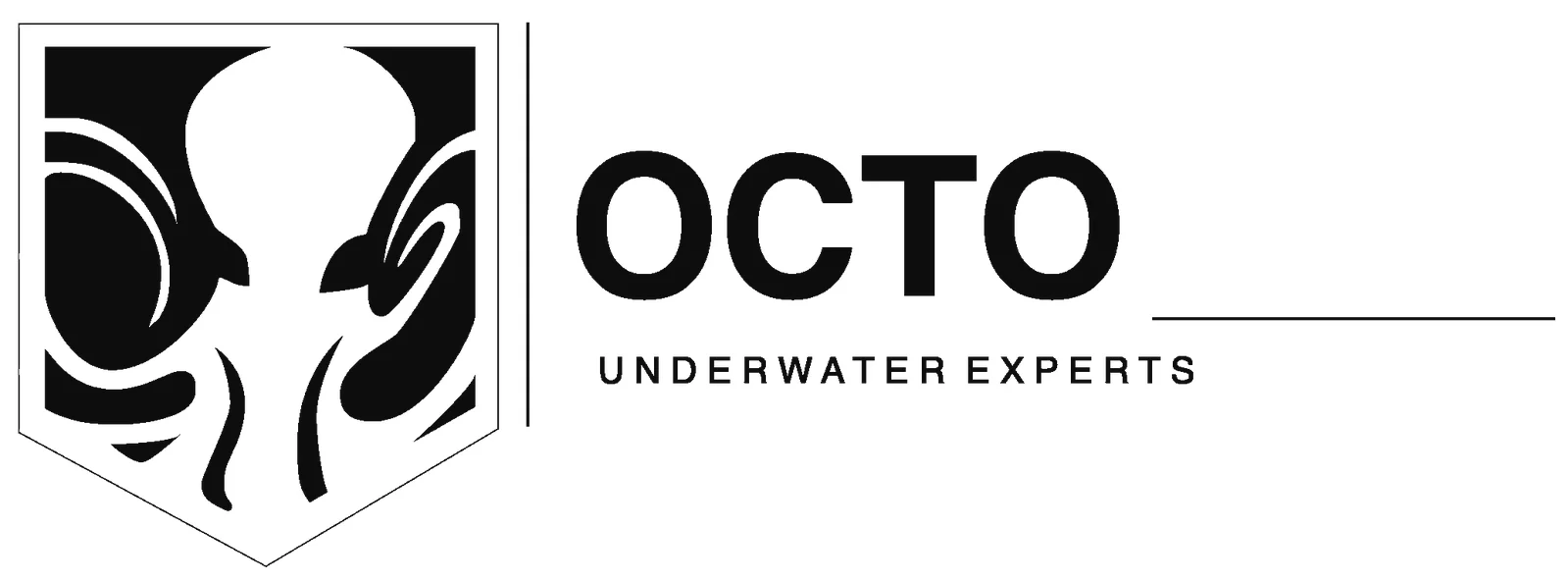 octo-underwater-experts.webp