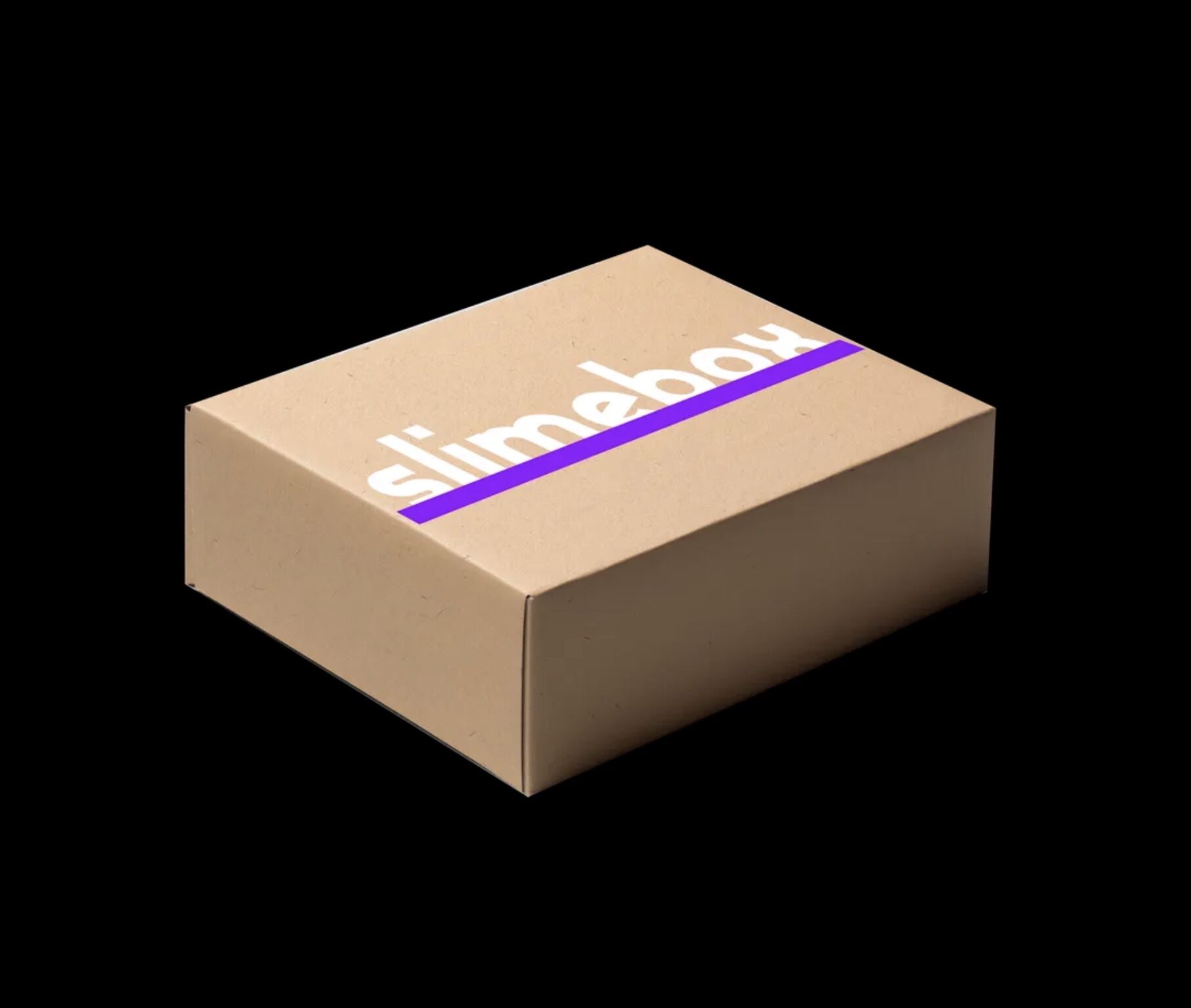 La Slime Box : Bien plus qu'une solution de cybersécurité