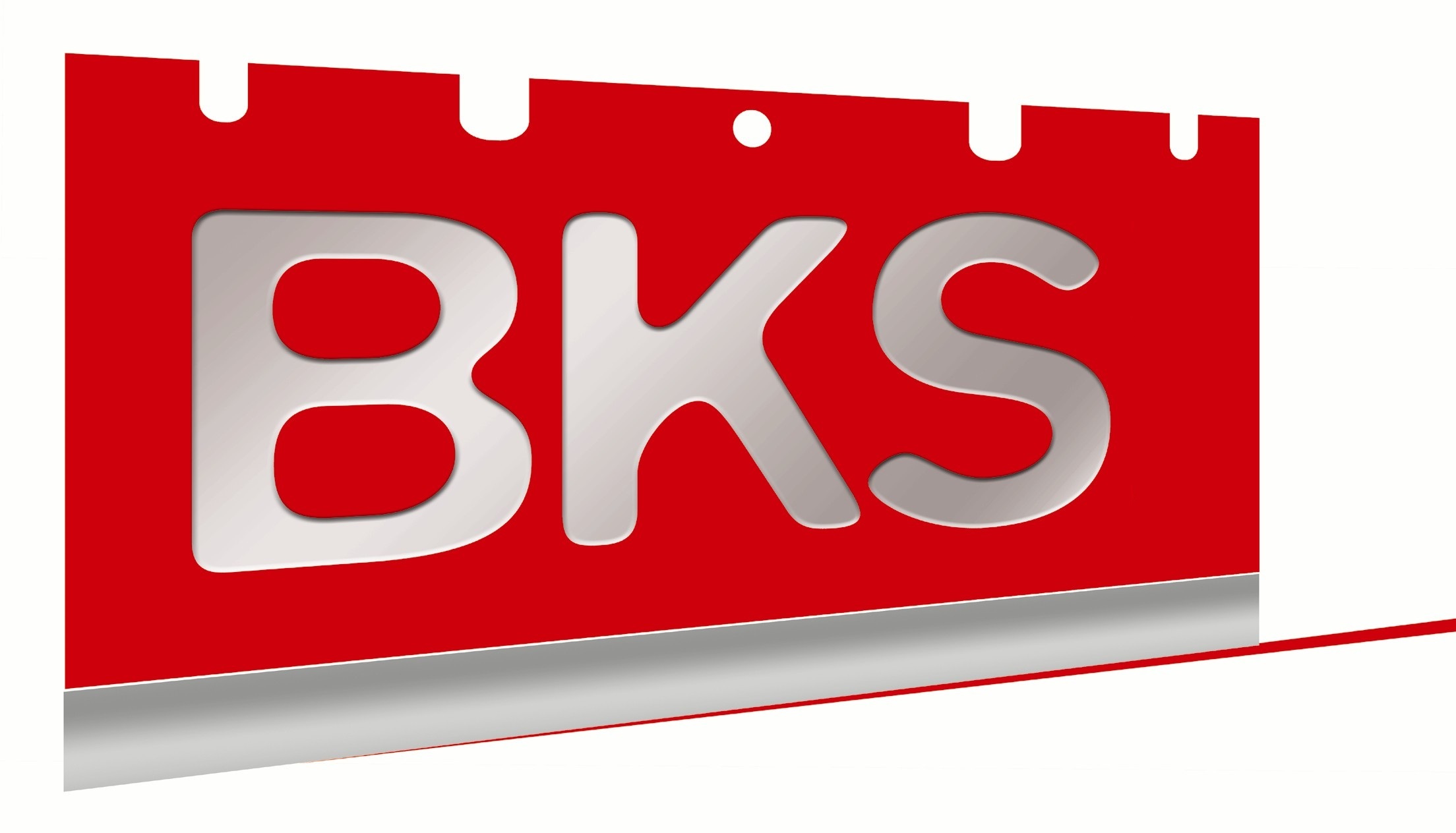 logo_bks_sans_sa.jpg