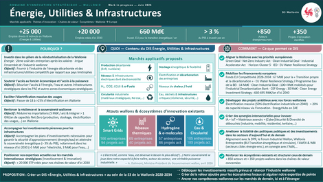 Ill. Contribution du Cluster H2O au choix des Domaines d’Innovation Stratégiques (DIS) – Proposition d’un DIS «Énergie, Utilities & Infrastructures»